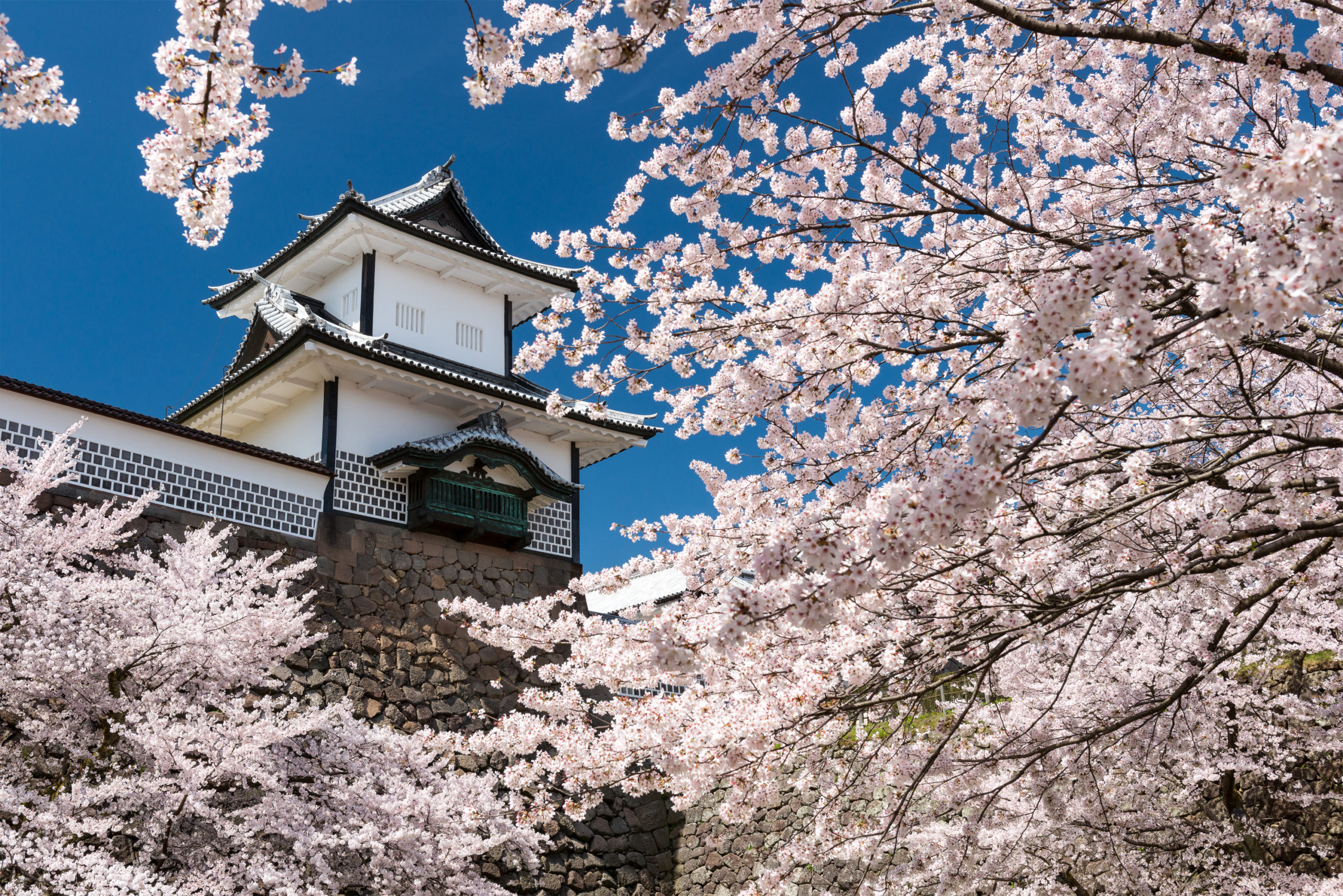 Kanazawa Castle in the Springtime