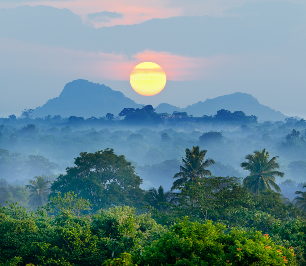 Sunrise in the jungles of Sri Lanka