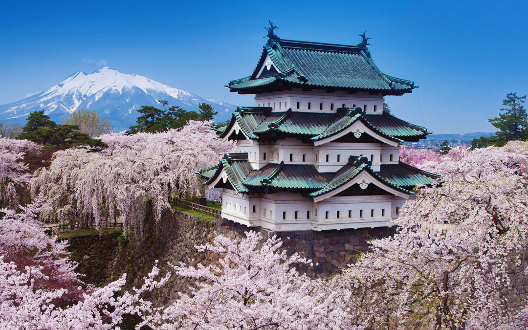 Japan: Cherry Blossoms Peak Across the Country