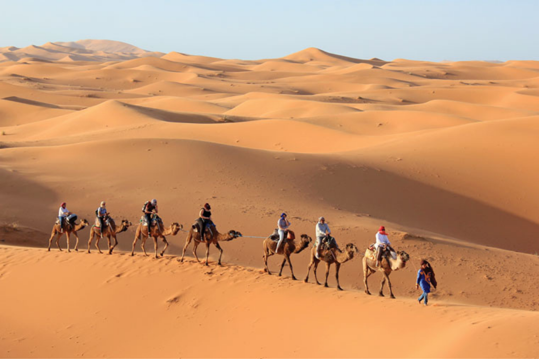 A camel ride in the desert - Sabena Jane Blackbird
