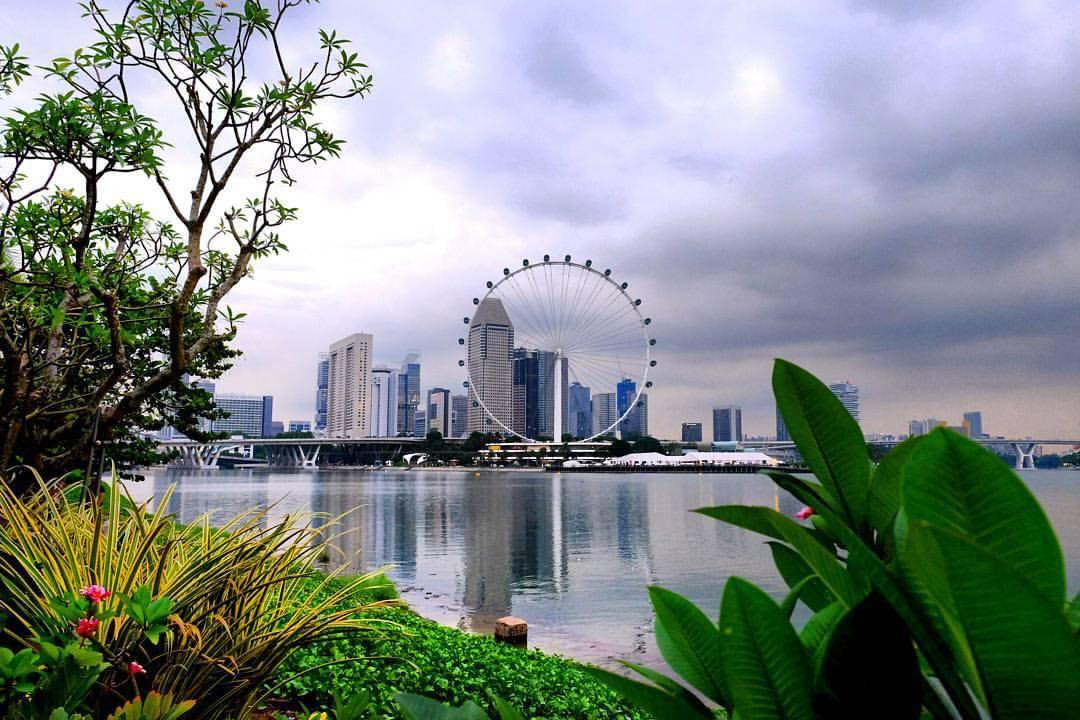 View from Gardens By the Bay - Wenjie Borja