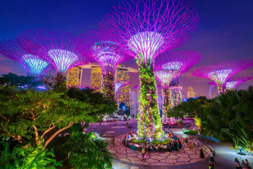 Supertrees at the Gardens by the Bay - Getty Images
