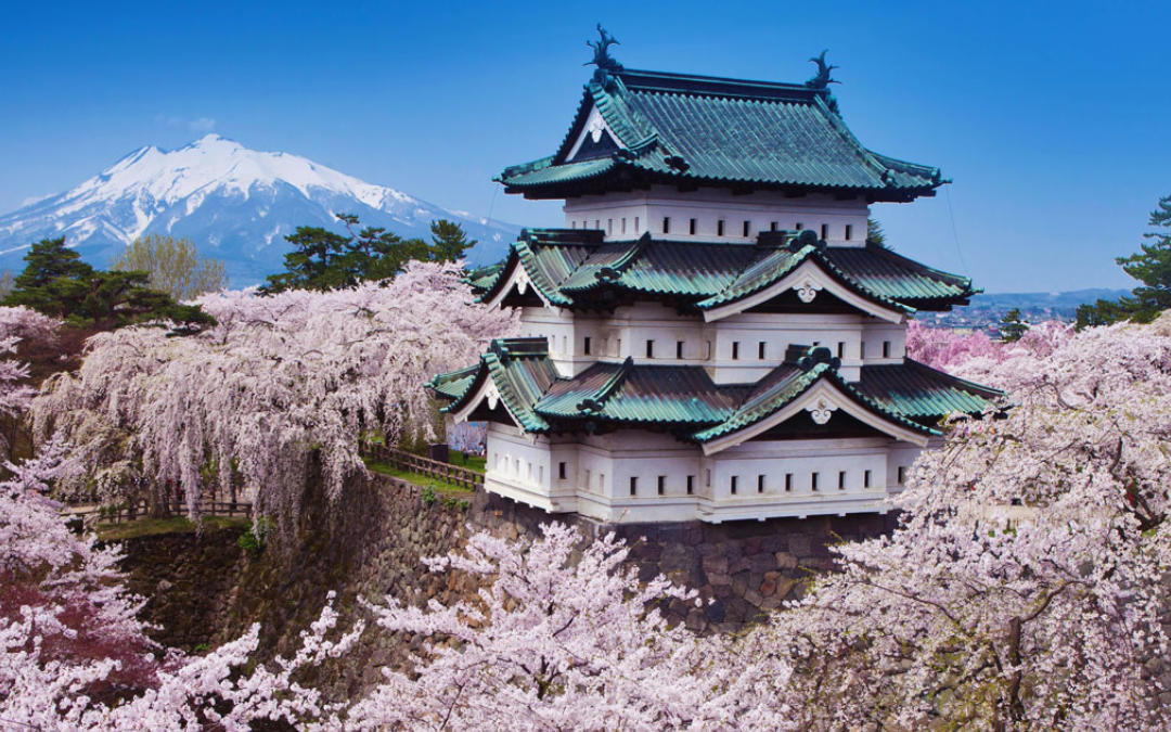 Explore Hakone, Japan’s Cherry Blossom Wonderland and Beyond