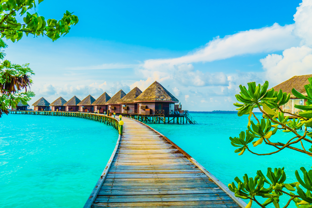The Beautiful Tropical Maldives
