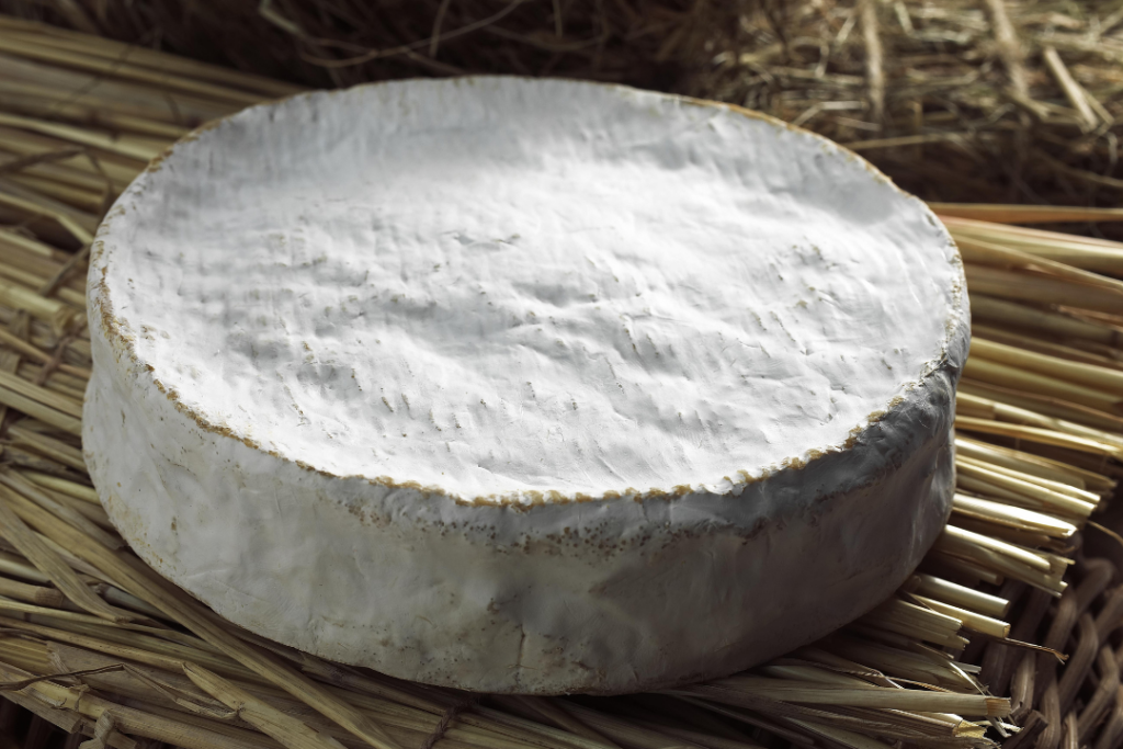 Coulommiers Cheese