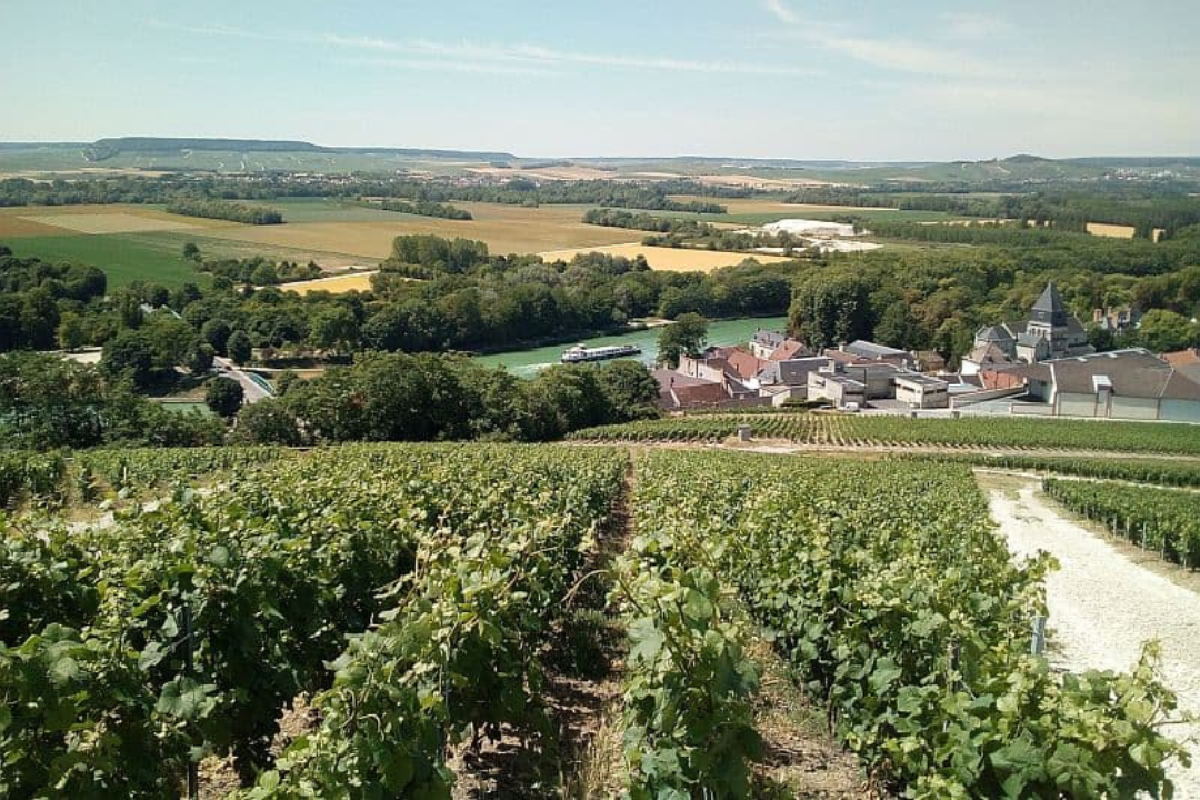 Explore forests, vineyards, and rolling cornfields while sipping the sparkling wine we all know and love on a luxury cruise in Champagne - European Waterways