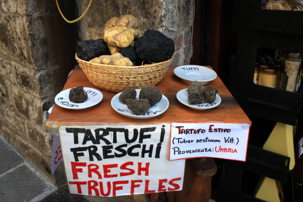 Umbria Truffles