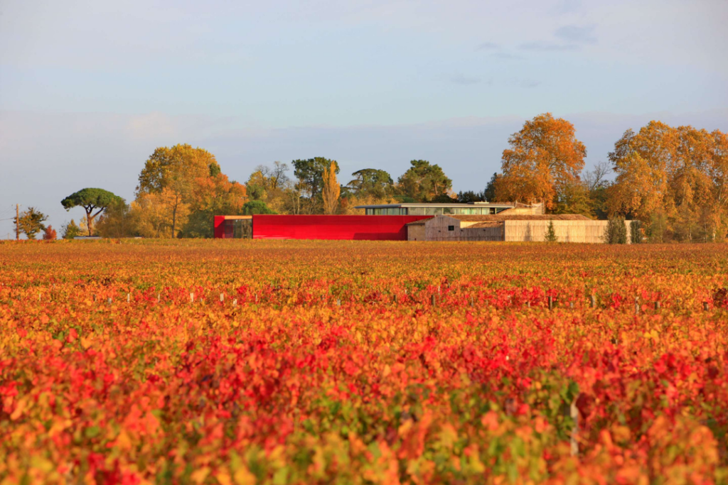 A Chateau in Saint Emilion Region - Virtuoso 