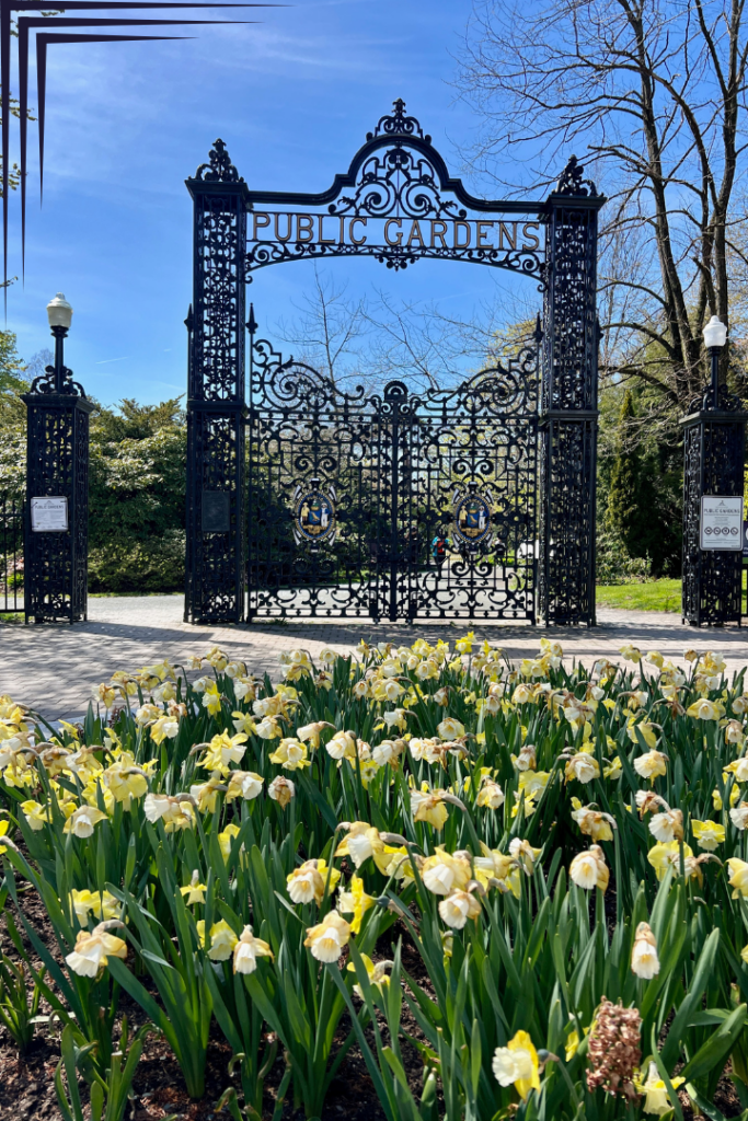 Halifax Public Gardens - Cindy Dykman