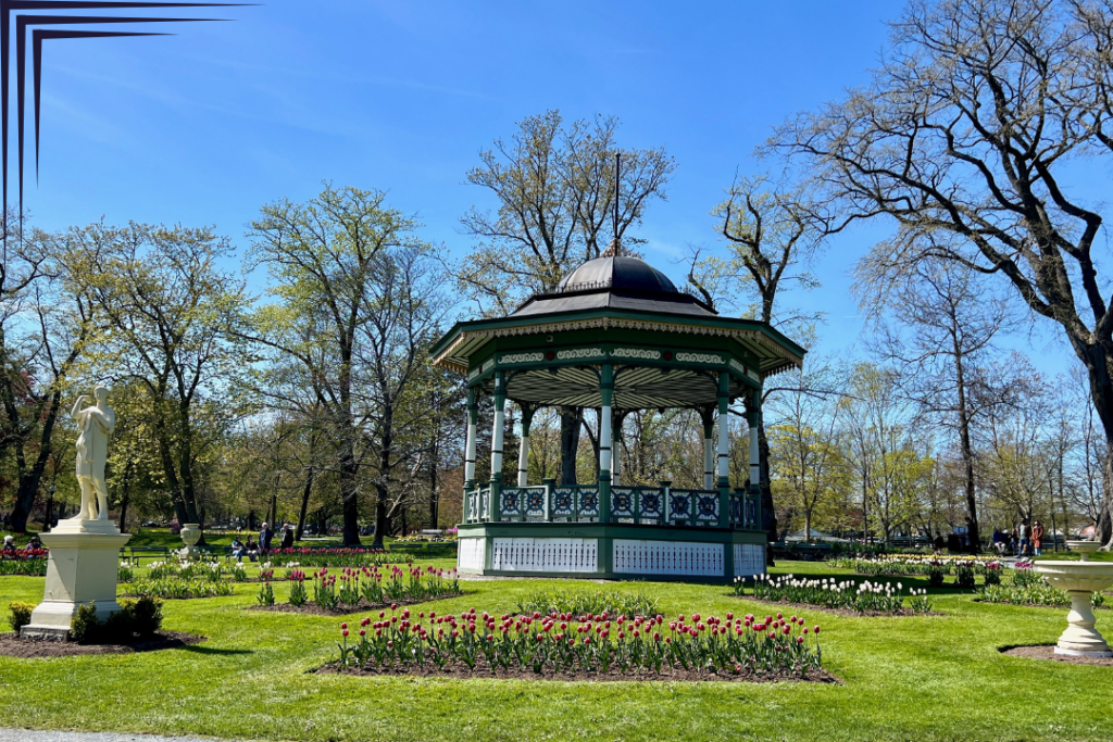 Halifax Public Gardens - Cindy Dykman