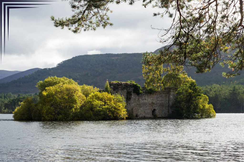 Ruin in Rothiemurchus Forest