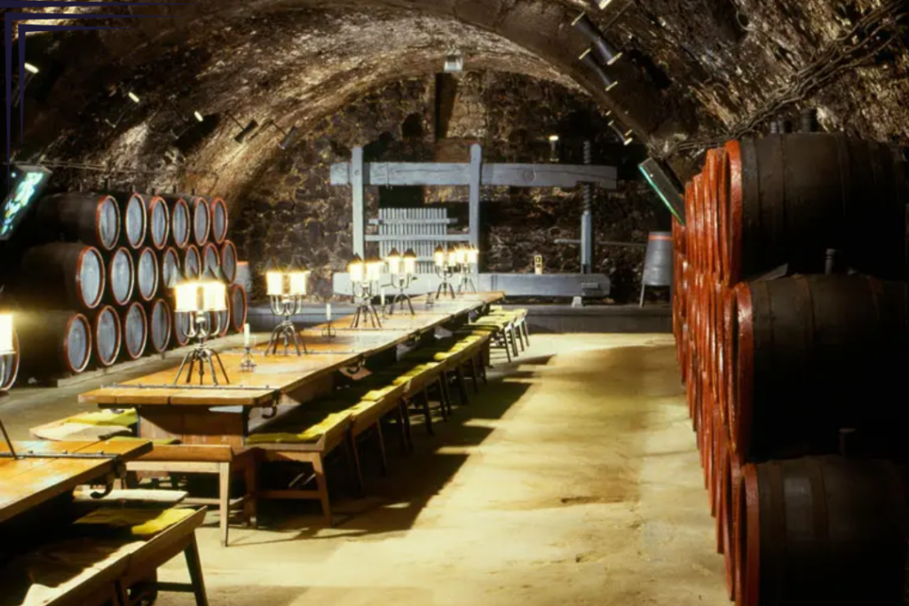 Tokaji Rakoczi Cellar, a historical meeting point known as The Hall of Knights. - Virtuoso