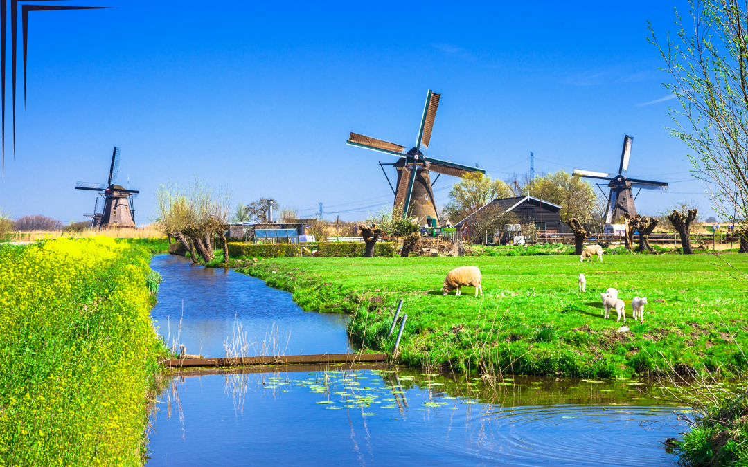 A Journey Through Kinderdijk and Gouda