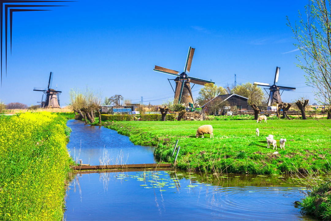 Kinderdijk Windmills