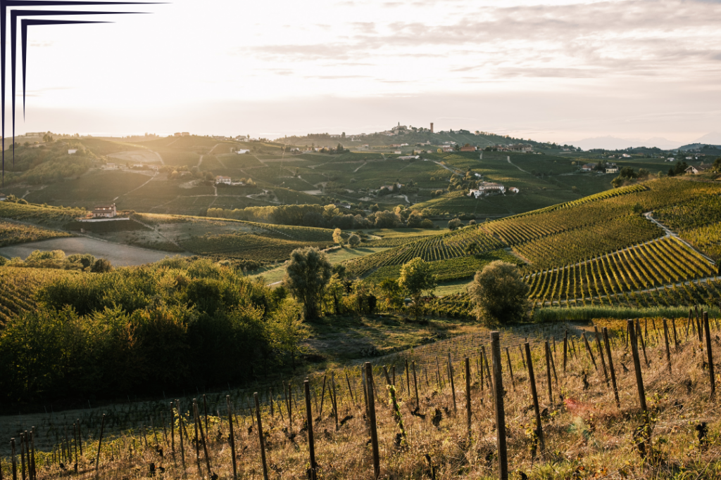 Monferrato Hills